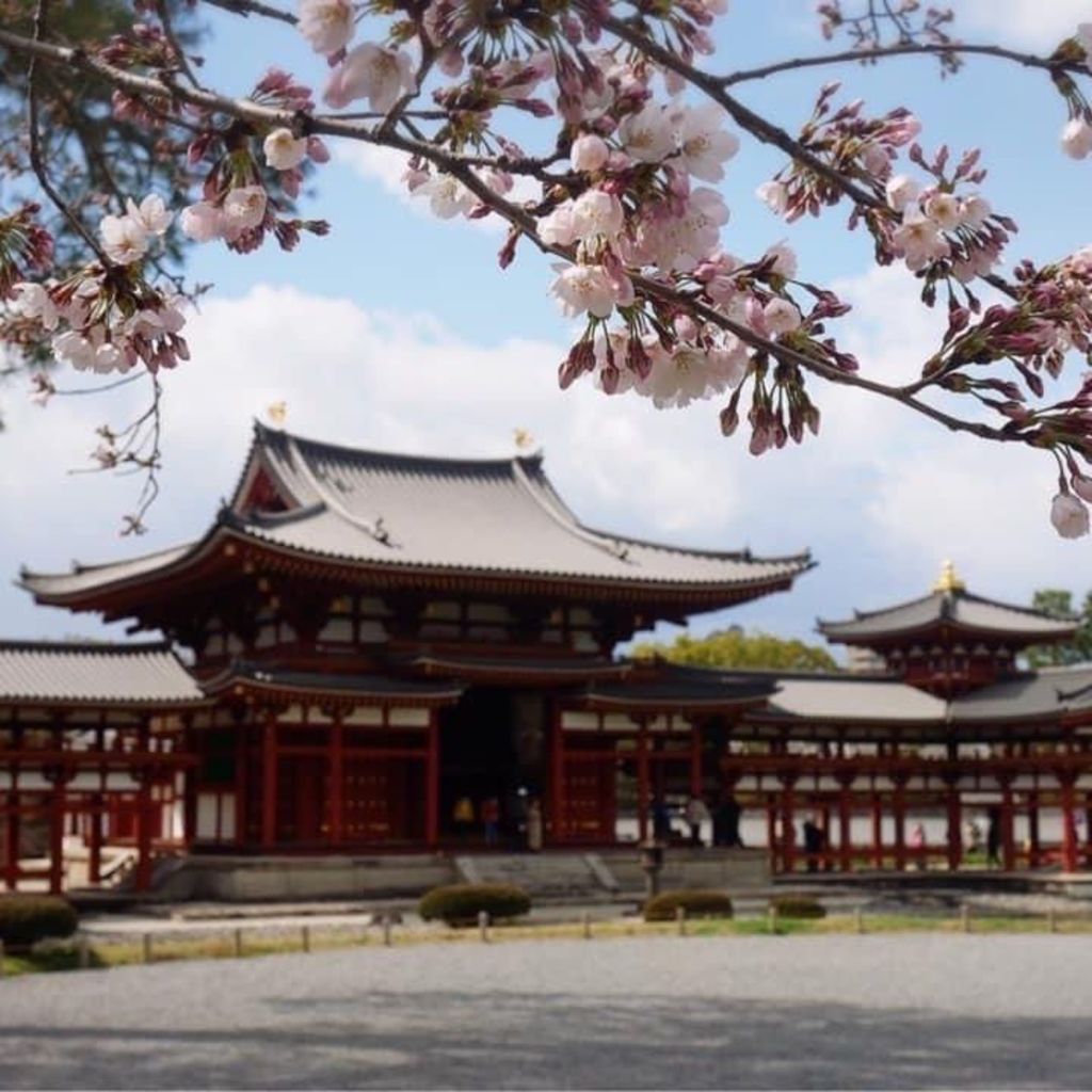 平等院 京都 平等院鳳凰堂と桜