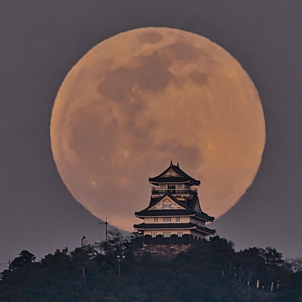 岐阜城 一度は撮ってみたい月城コラボ 狙って絵になる所はココ 岐阜城