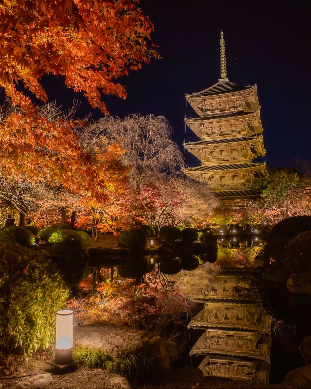 真言宗総本山 教王護国寺 東寺 五重塔と紅葉がライトアップされ 水に反射する姿は絶景