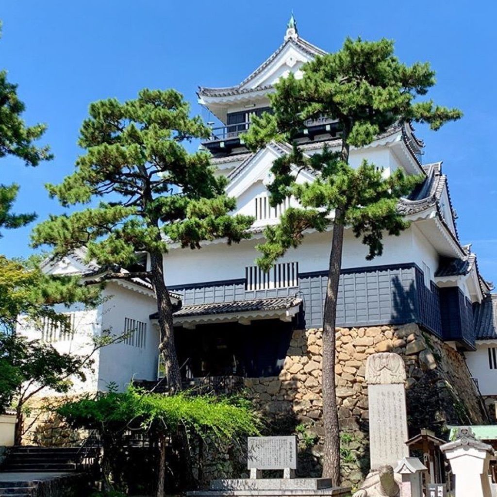 岡崎城 徳川家康の背の高さ私と同じくらい