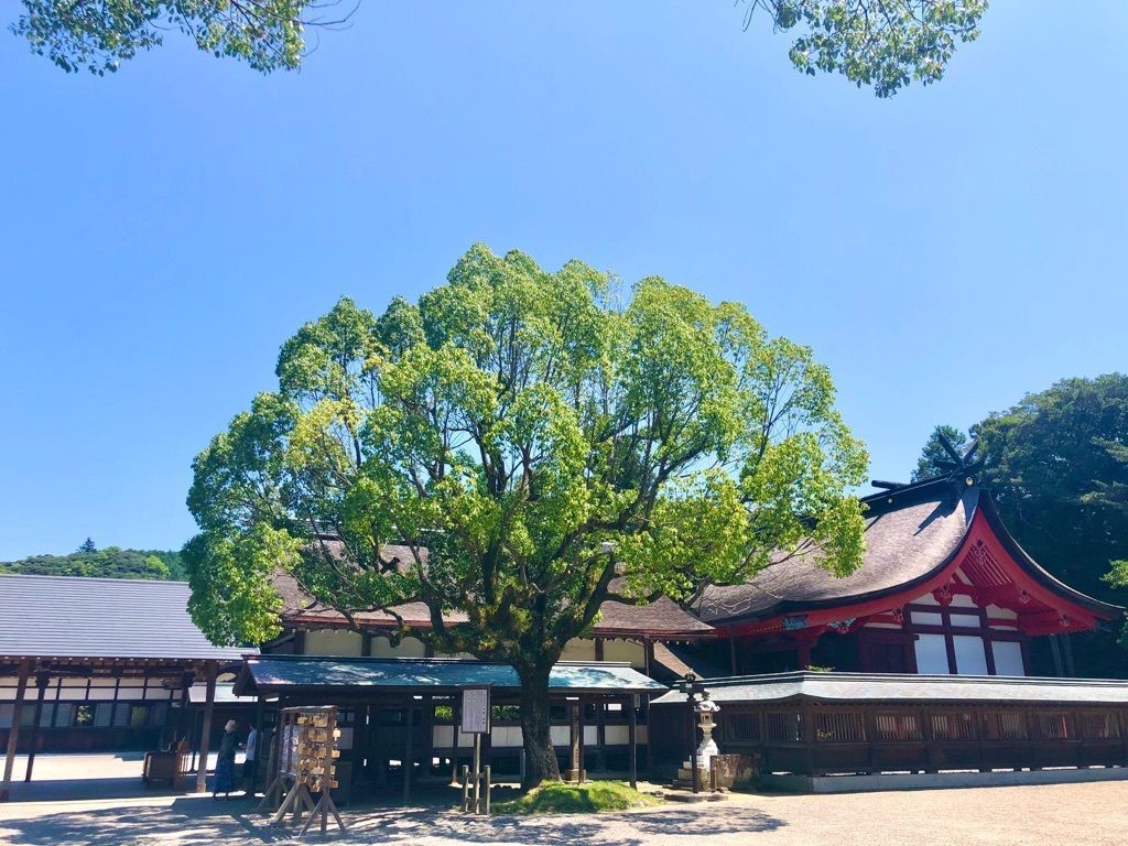 宗像大社 福岡県 宗像大社 むなかたたいしゃ