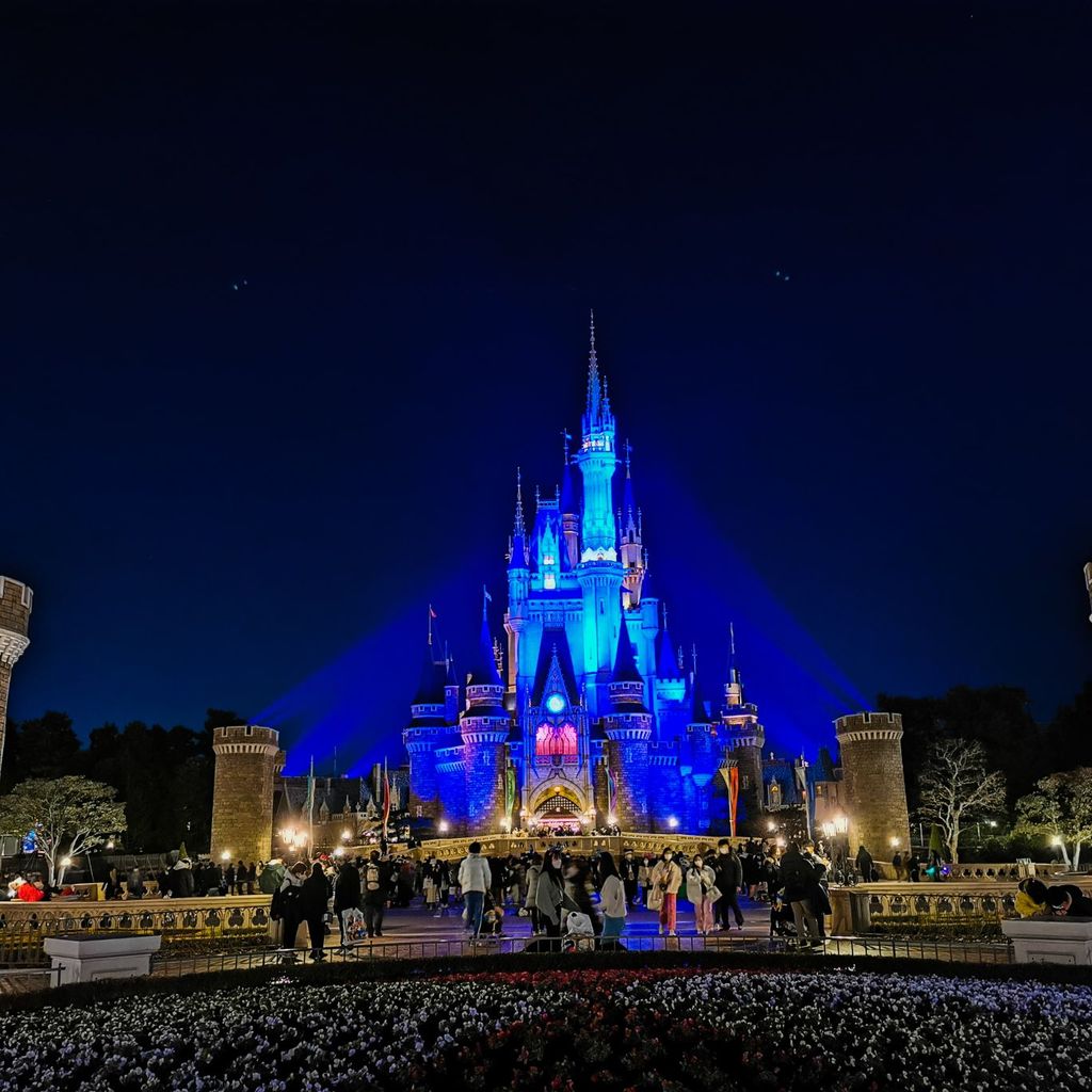 東京ディズニーランド R 東京ディズニーリゾートで冬の景色を堪能してきました