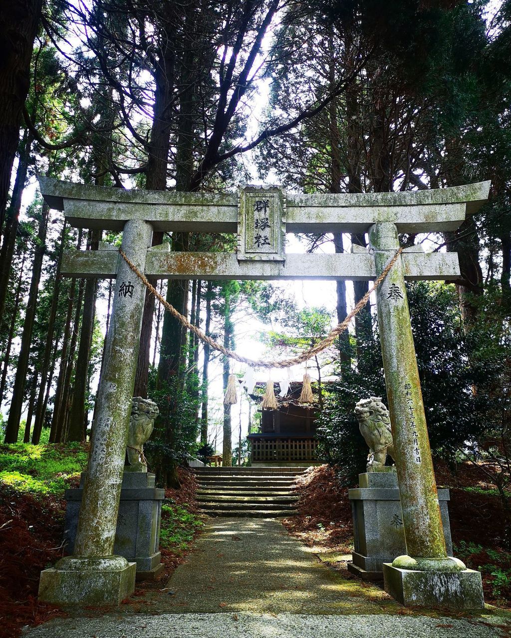 2024年｜3月の九州・沖縄地方で人気の神社ランキング（3ページ目）