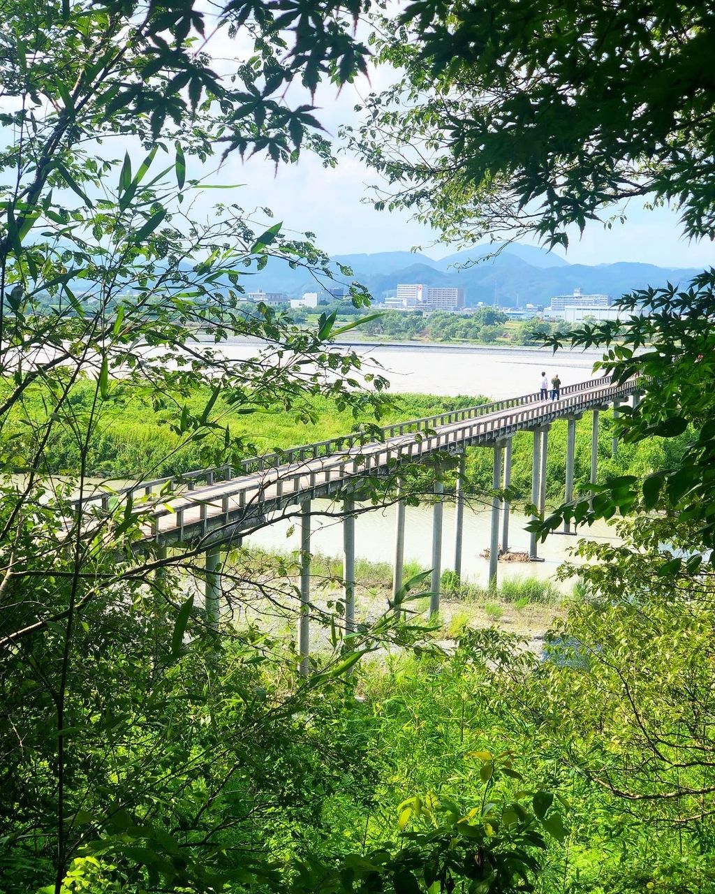 22年 蓬莱橋 静岡県 世界1ながーい ギネス記録を持つ時代劇のシーンのような木造の橋 Recotrip レコトリップ