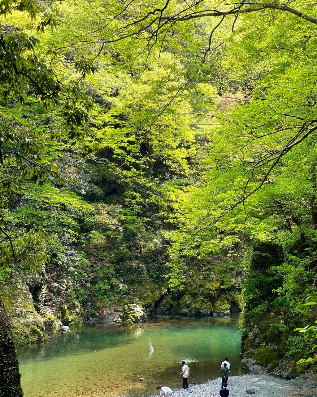 氷川渓谷】口コミ・アクセスと周辺観光ガイド・地図