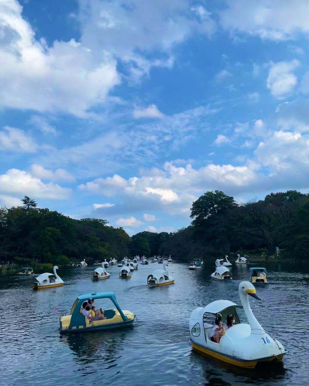 井の頭恩賜公園 人気のデートスポット 井の頭公園