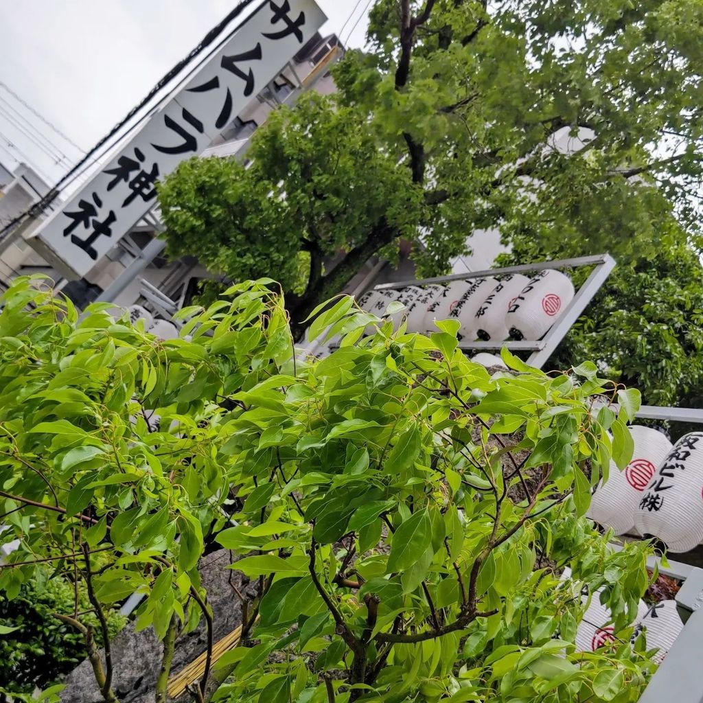 美しい 還元SALE 店頭商品 最強力パワー サムハラ神社 召喚 御神環