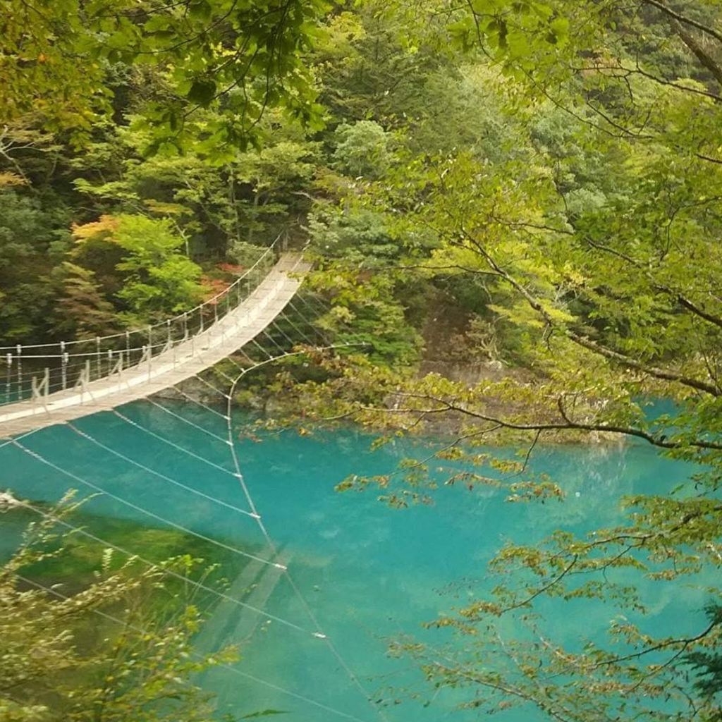 寸又峡 夢の吊橋 緑の秘境