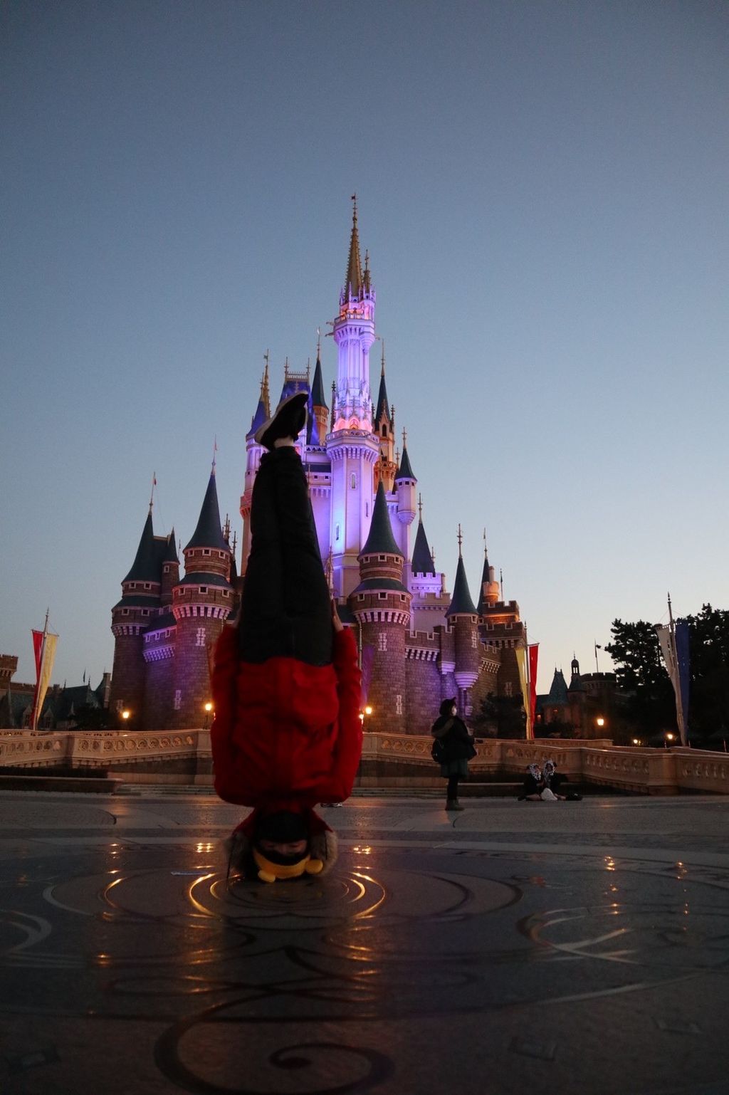 東京ディズニーランド R 東京ディズニーランド