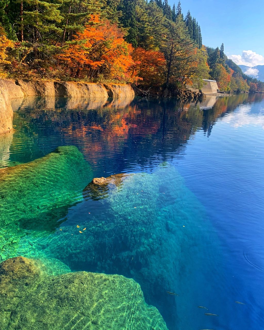 田沢湖 日本一深い湖 透明度が半端ない 紅葉とのコラボは絶景