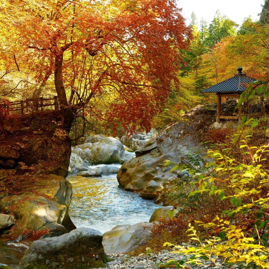 憾満ヶ淵 日光の苔と紅葉