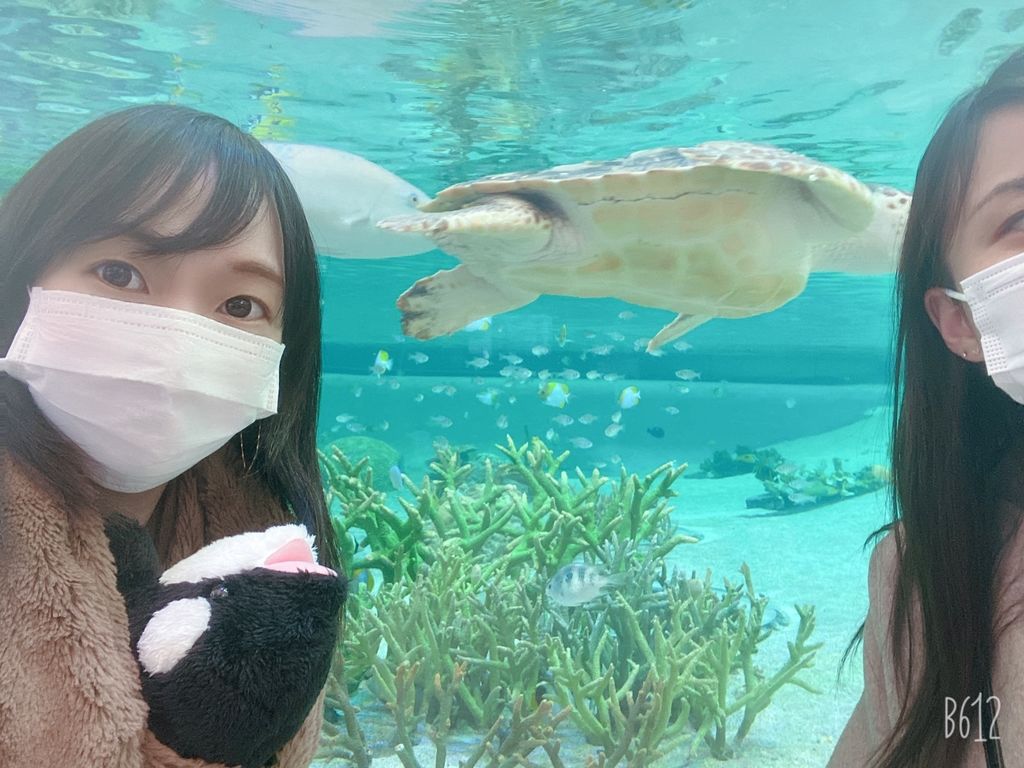 鴨川シーワールド シャチの水族館