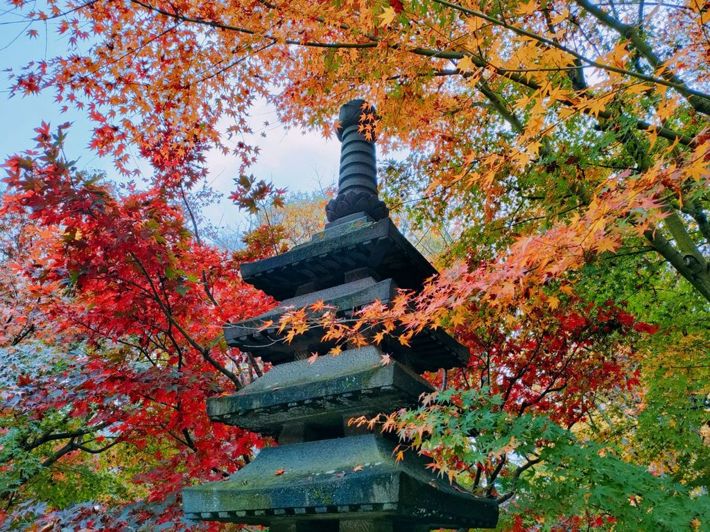 浄真寺 