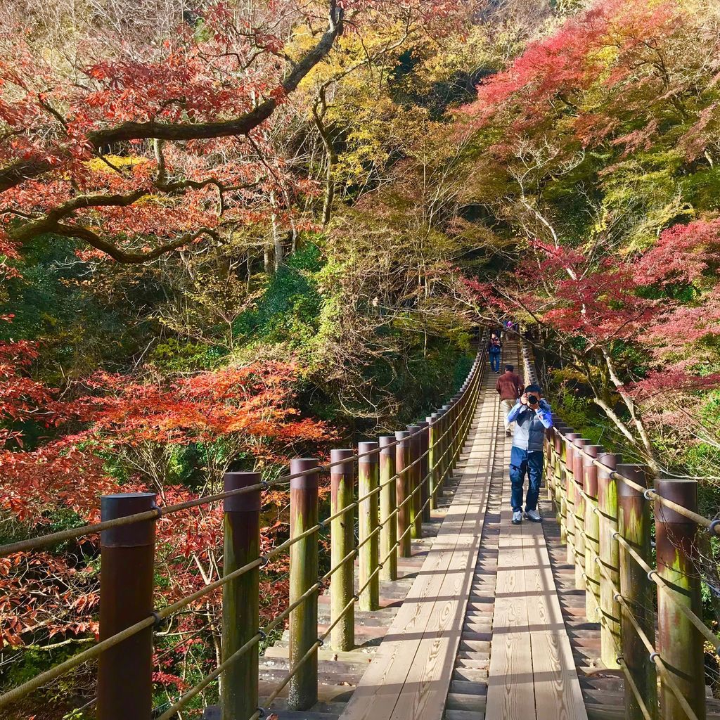 花貫渓谷 花貫渓谷 紅葉