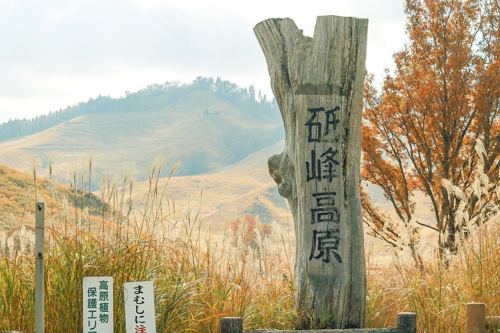 砥峰高原 関西有数のススキスポット