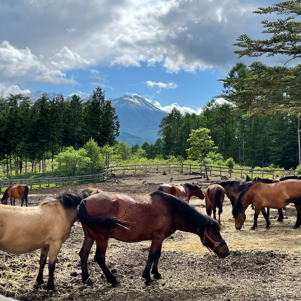 開田高原 木曽馬御嶽山が見れる自然豊かな高原 夜はまるでプラネタリウム