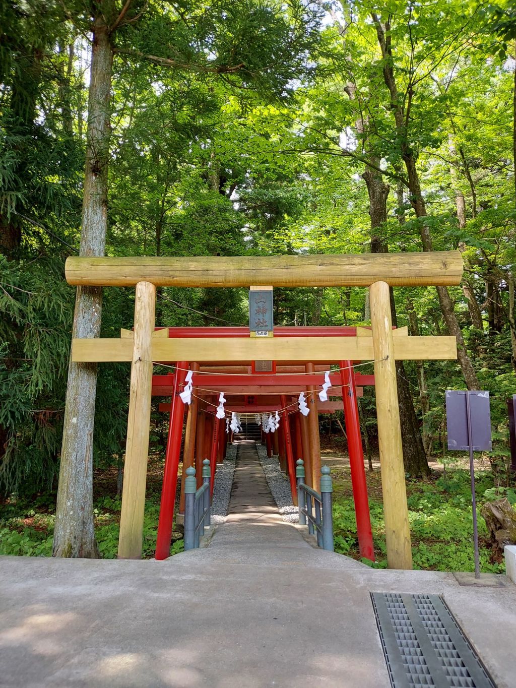 絶対金運アップ！！【新屋山神社】と【富士御室浅間神社】の金運カード ...