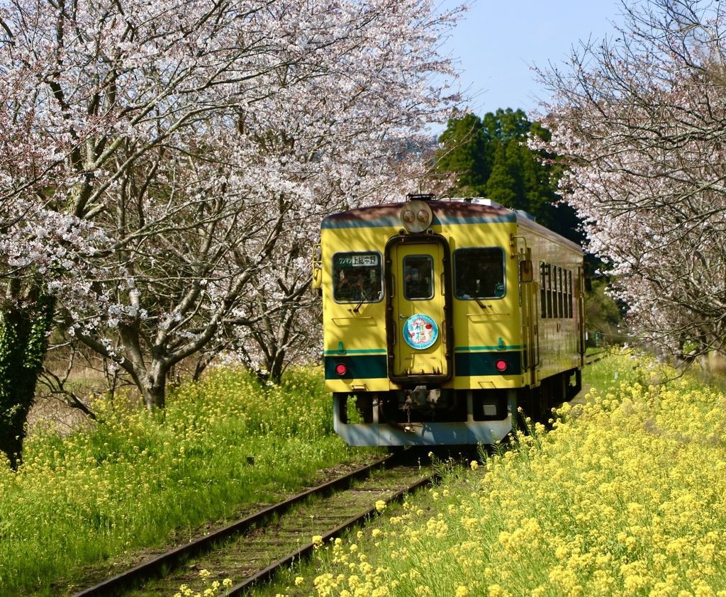 21年版 勝浦 鴨川の交通 道の駅 Saランキング Recotrip レコトリップ