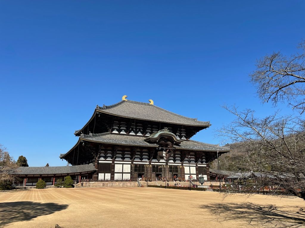 東大寺大仏殿 藤の世界遺産巡り 奈良