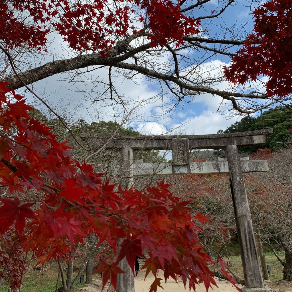 宝満宮竈門神社 紅葉綺麗な縁結びの神社