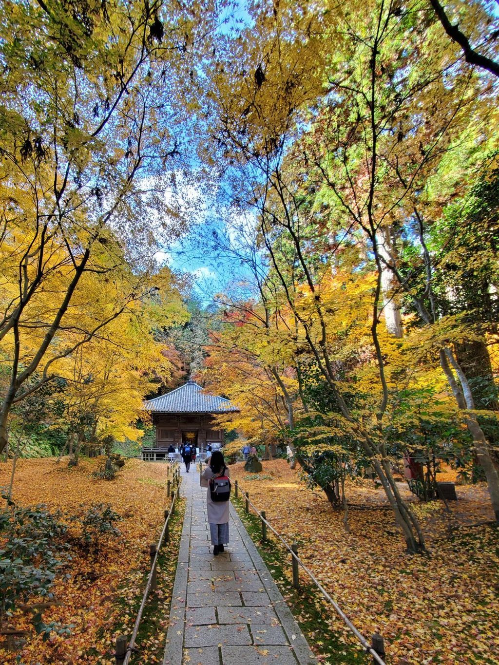 圓通院 宮城県 松島町 日本百景松島の紅葉はここが最高