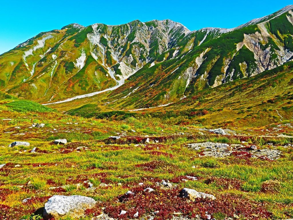 立山室堂平 立山の紅葉