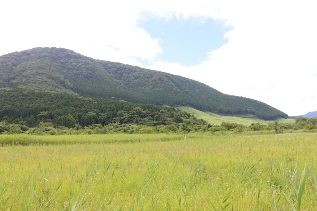 箱根町立箱根湿生花園の口コミ 写真 アクセス Recotrip レコトリップ