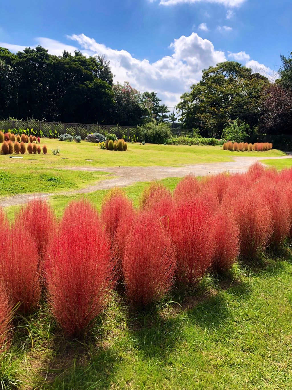 23年9月 関東地方の植物園はココ みんなに人気のスポットtop16