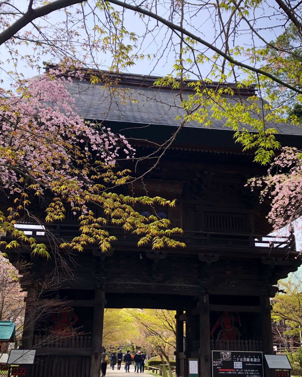 九品仏 浄真寺 門から見える景色が人気