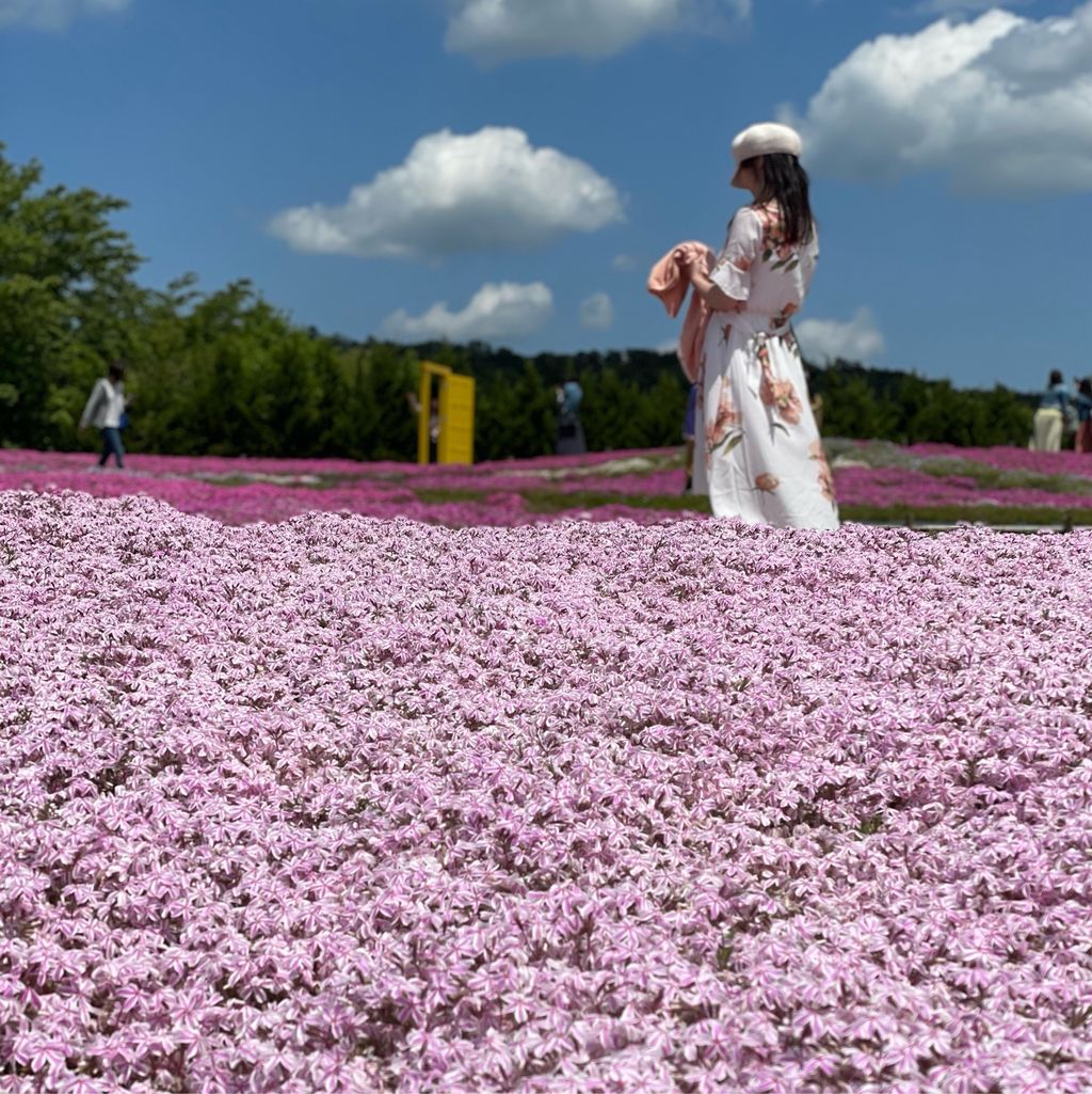 Flower Village 花夢の里 優しいブルーとピンクが夢かわ