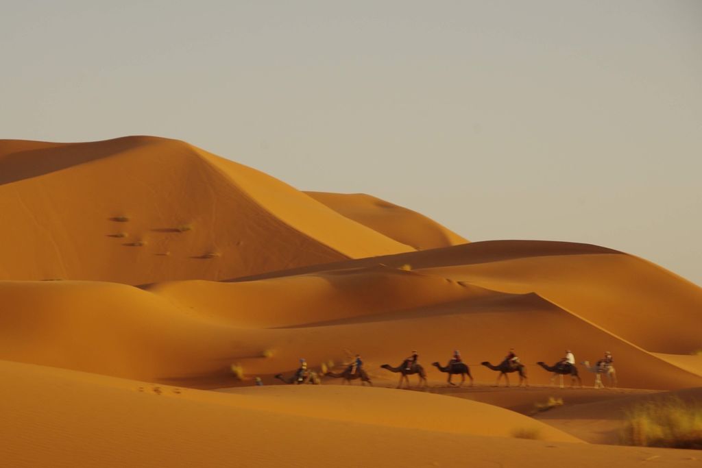 サハラ砂漠（Sahara Desert）『果てしなく続く大自然、サハラ砂漠』