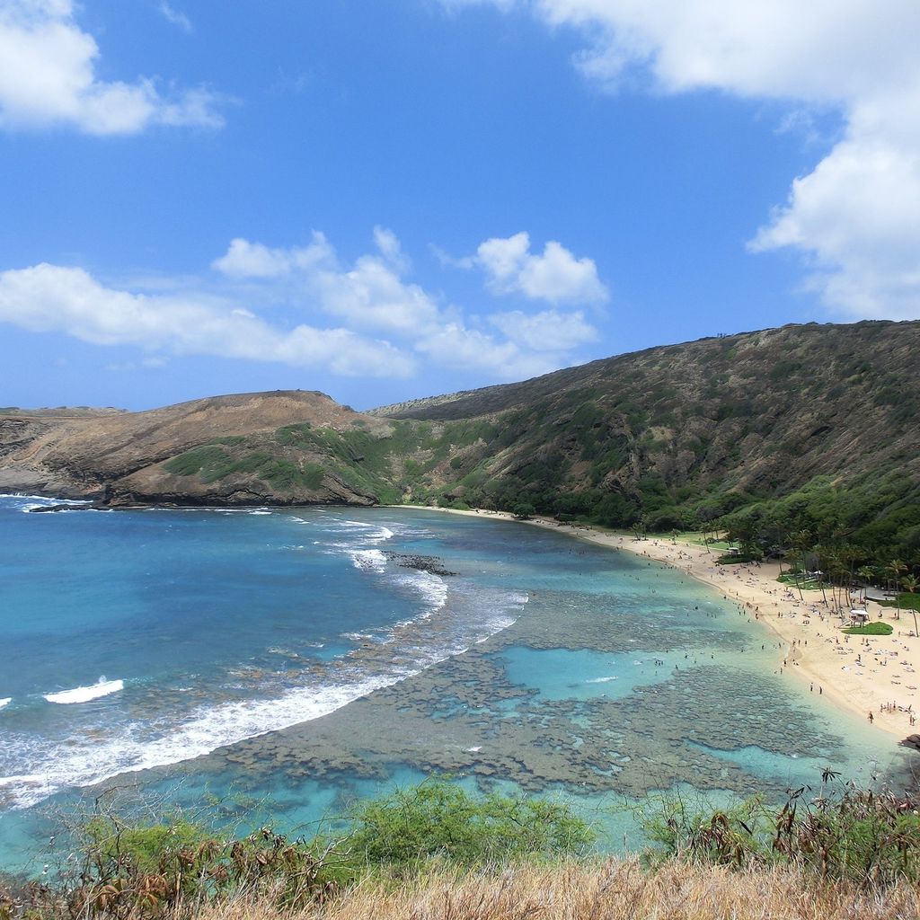 オアフ島 自然豊かで癒されるハワイ