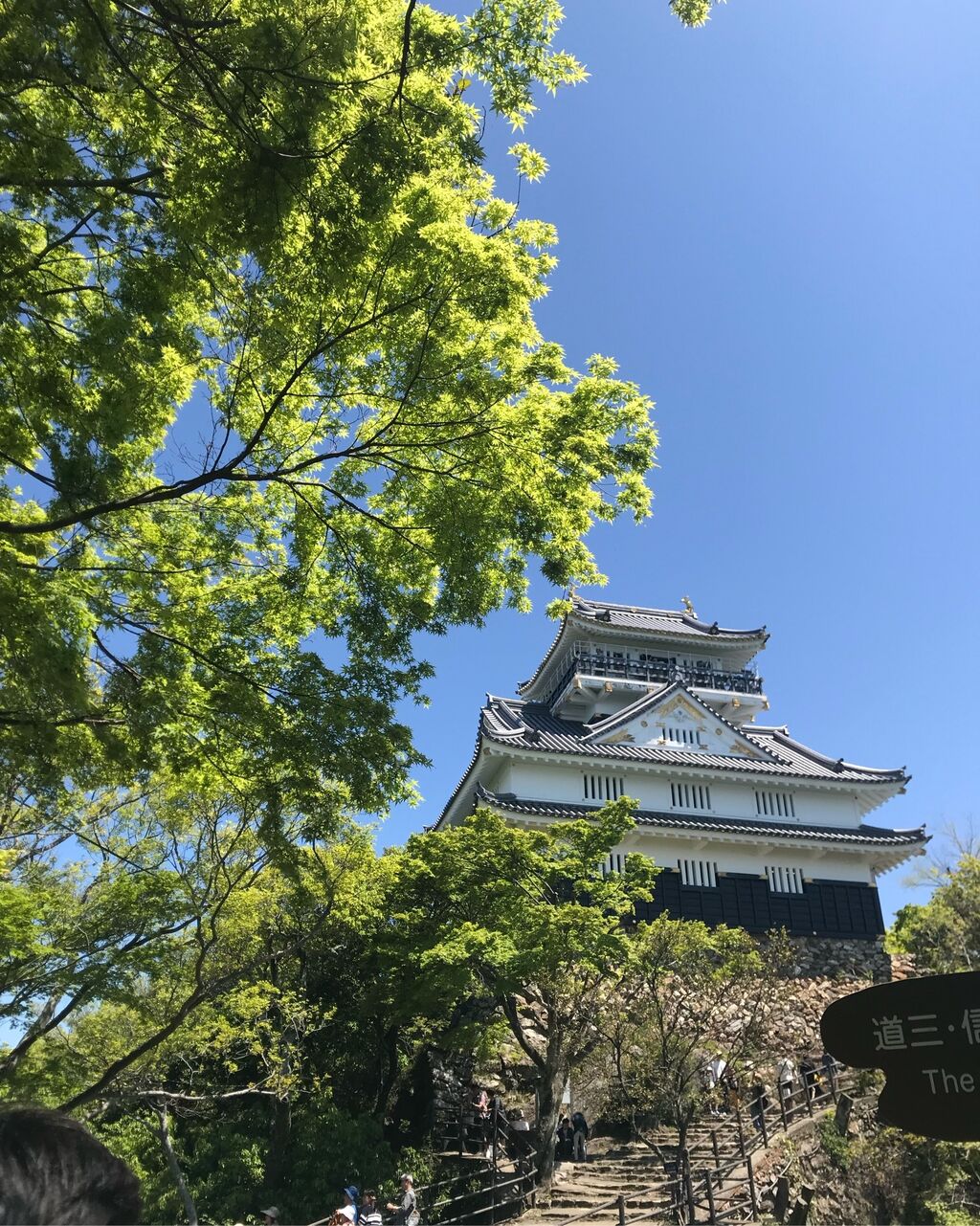 織田信長公時代の岐阜城図 稲葉山風景 - 絵画/タペストリ