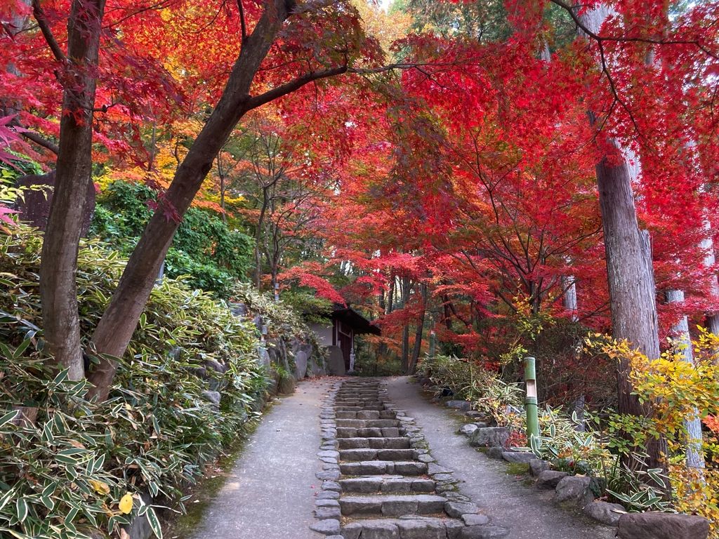 崇禅寺 穴場紅葉スポット 群馬 崇禅寺