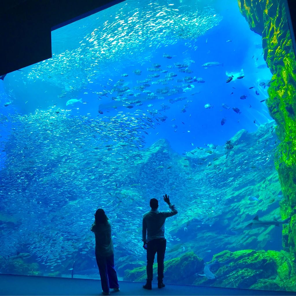 2023年【仙台うみの杜水族館】チケット情報・口コミ・アクセス|東北