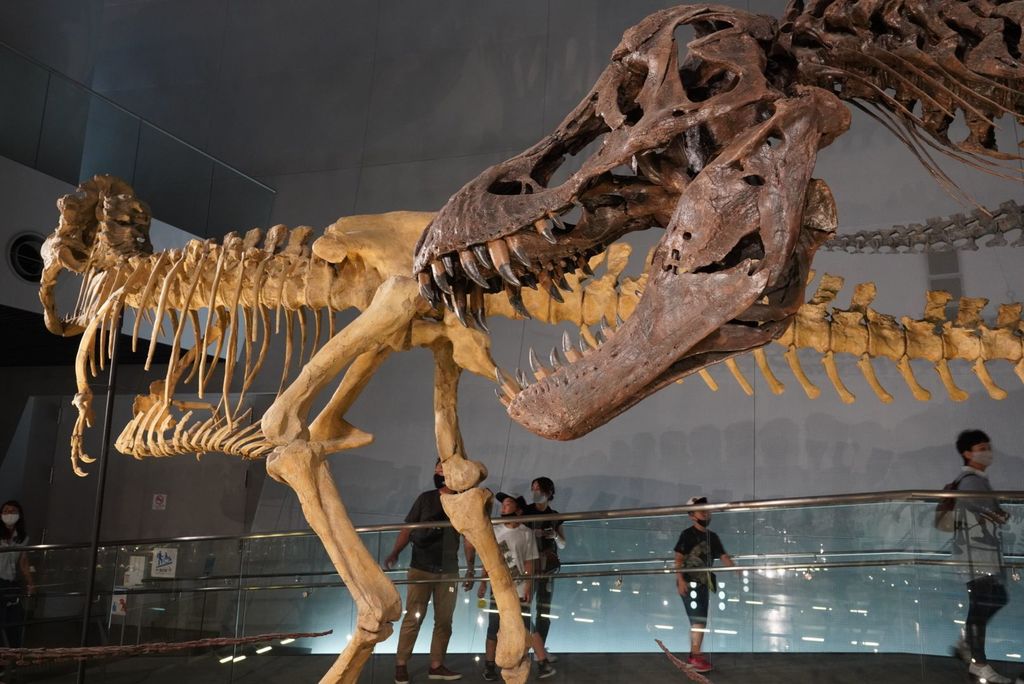 22年 福井県立恐竜博物館 太古のロマン溢れる空間 子供も大人も大興奮 世界三大恐竜博物館 Recotrip レコトリップ