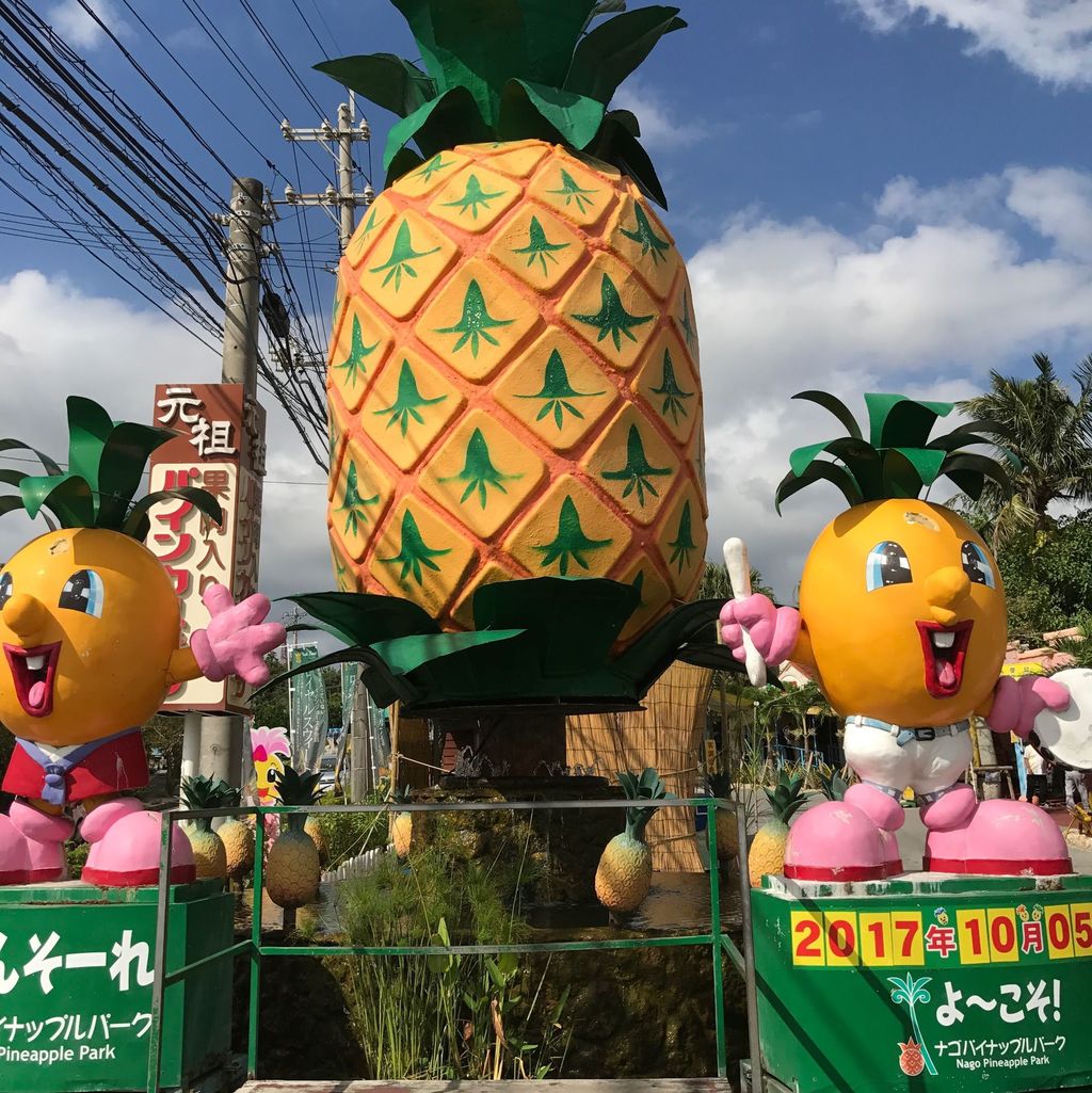 ナゴパイナップルパーク あまーいパインを食べるならココ