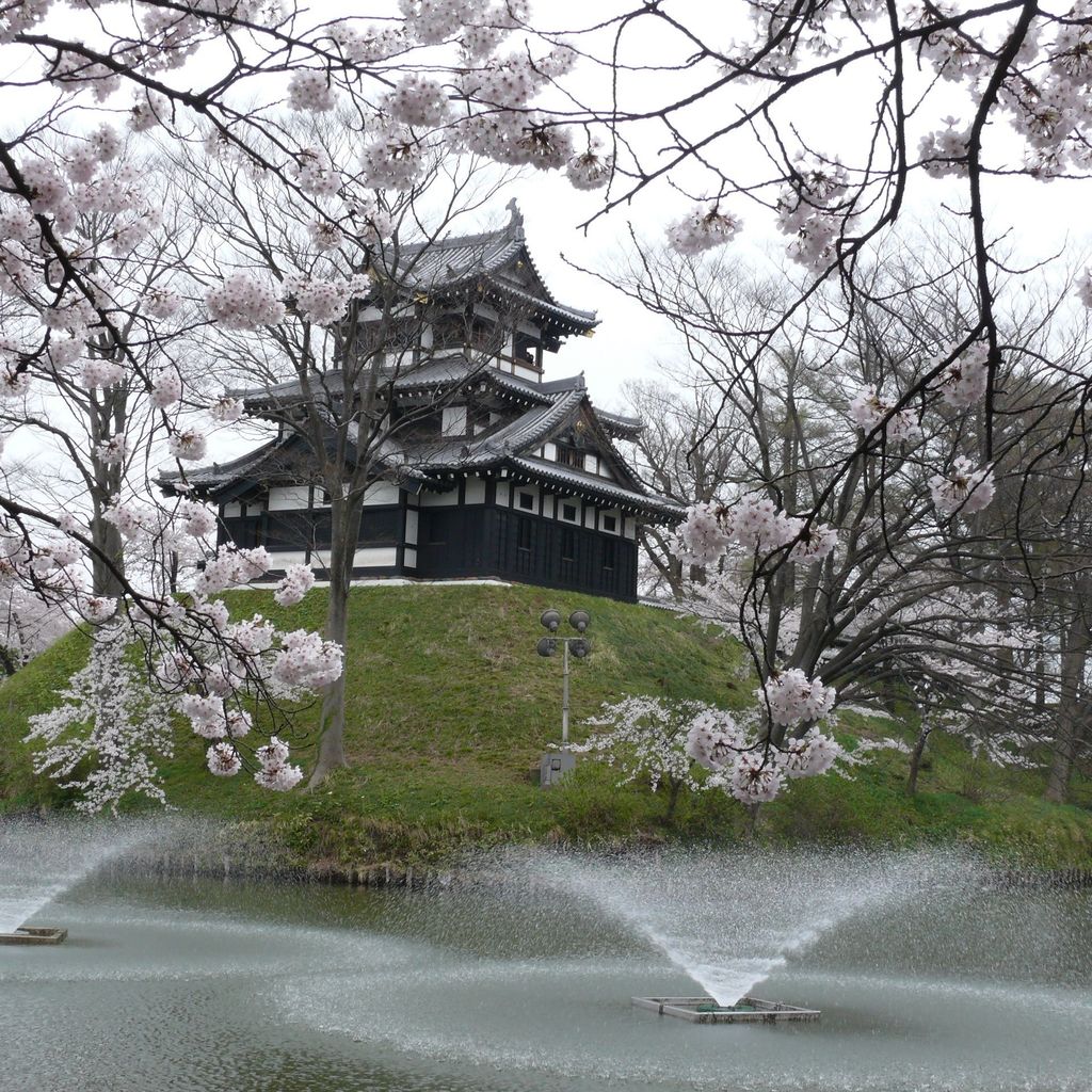 高田公園 高田城の桜