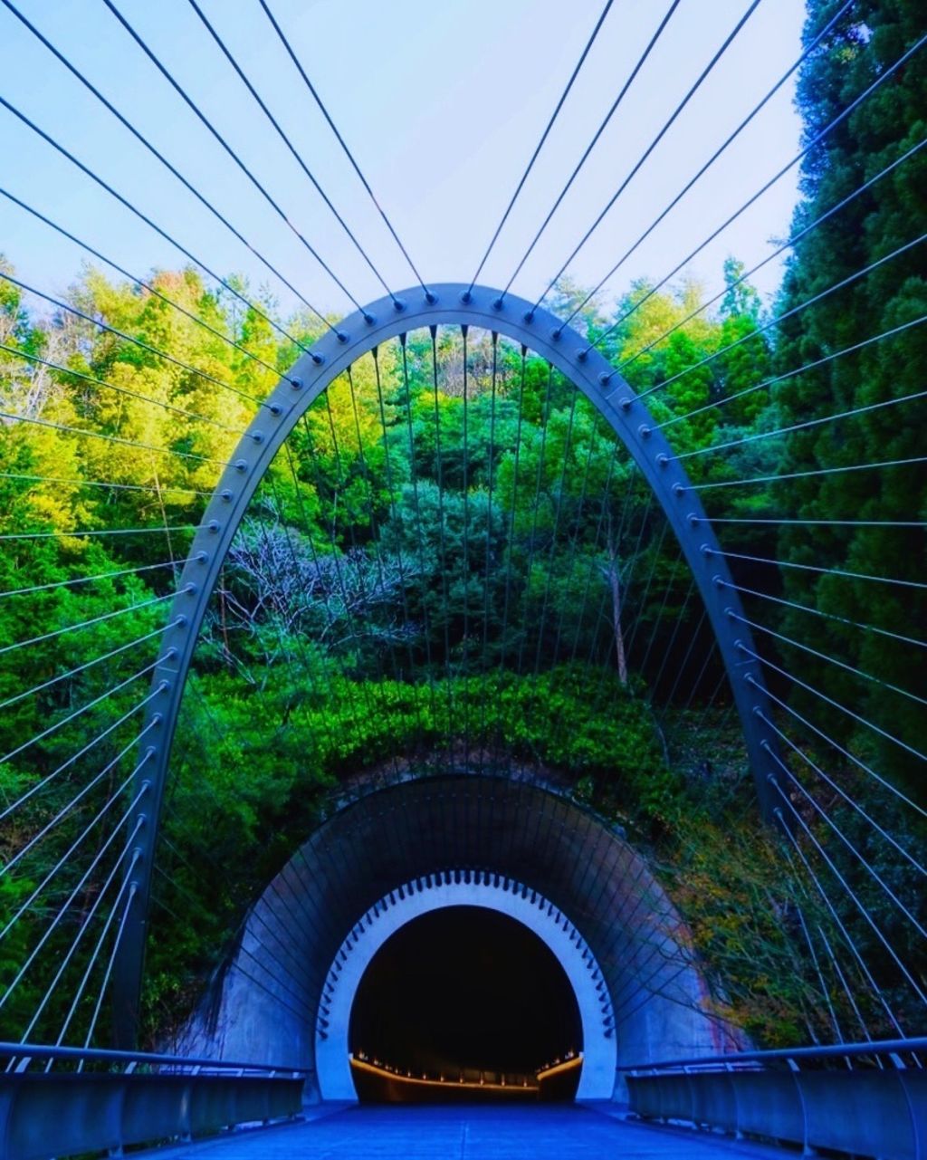 Latest travel itineraries for MIHO MUSEUM in October (updated in 2023), MIHO  MUSEUM reviews, MIHO MUSEUM address and opening hours, popular attractions,  hotels, and restaurants near MIHO MUSEUM 