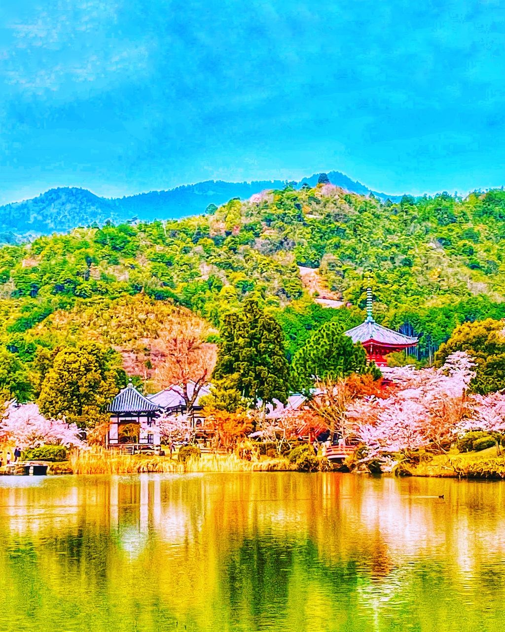 旧嵯峨御所 大本山大覚寺】口コミ・アクセスと周辺観光ガイド・料金・地図|時代劇でもお馴染み！直角に曲がる廊下が印象的な嵯峨野のお寺