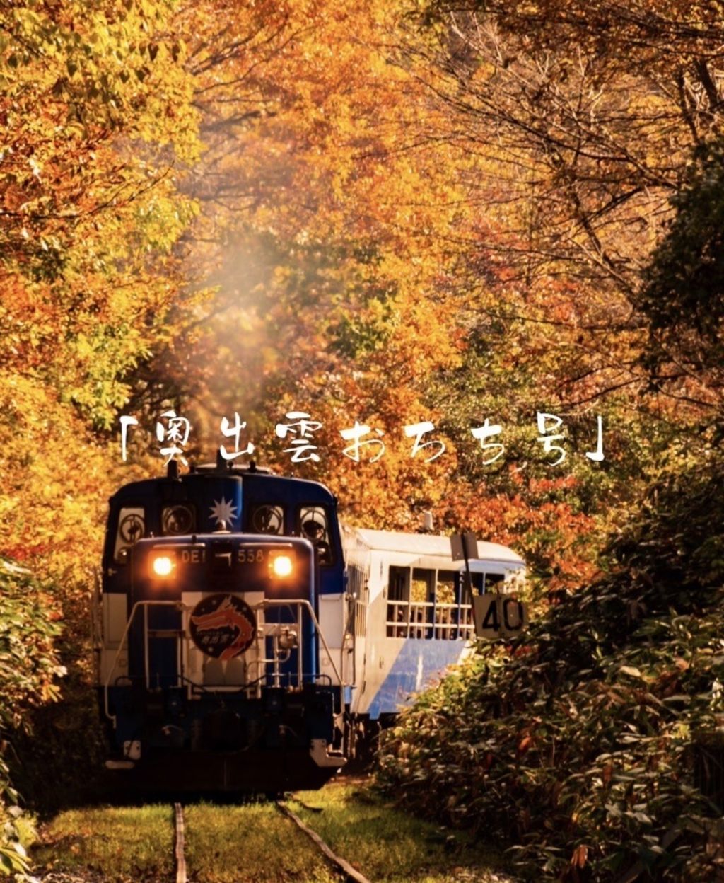 奥出雲おろちループ 島根県 広島県 必見 乗れるトロッコ列車