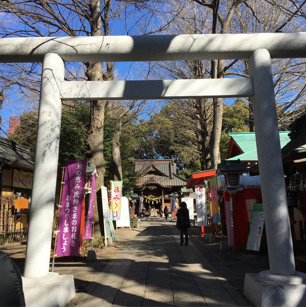 田無神社 5頭の龍がいるパワースポット