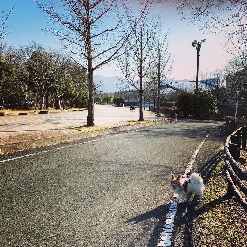 秩父ミューズパーク 埼玉 秩父 大絶賛の秩父の公園