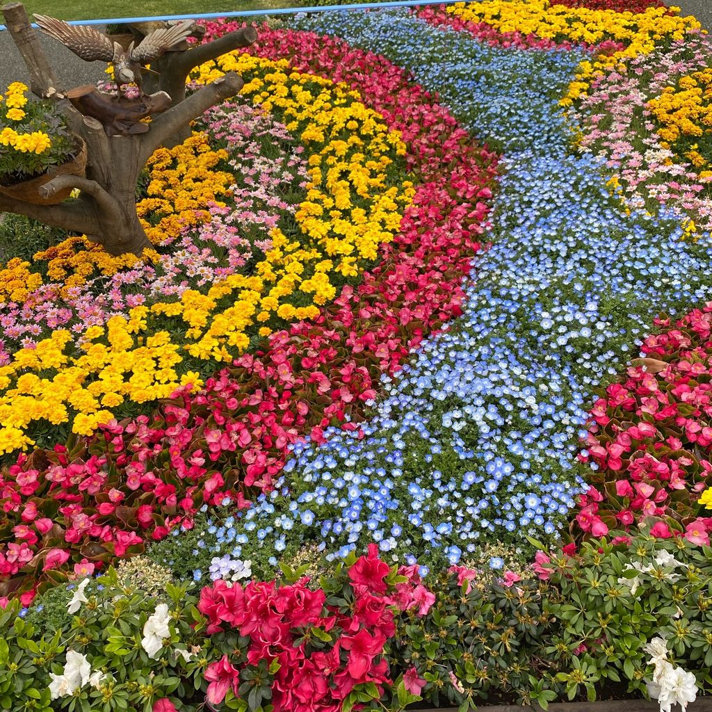 山下公園 四季折々の花の宴 海に行き交う船も見られる お散歩 デートにピッタリなスポット Recotrip レコトリップ