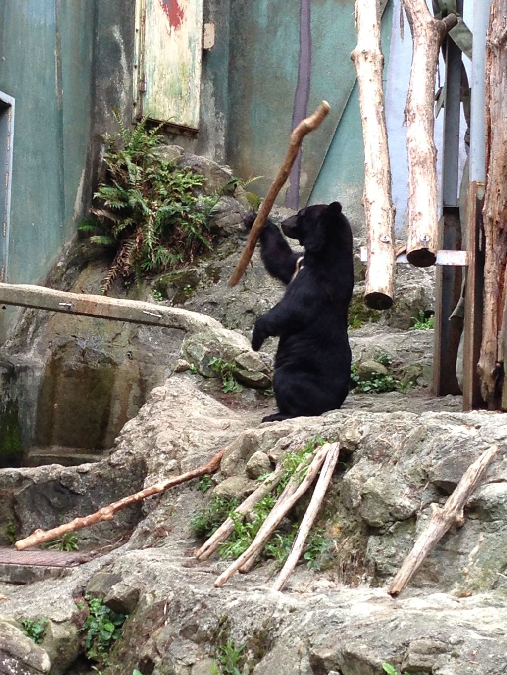 広島市安佐動物公園の口コミ 写真 アクセス Recotrip レコトリップ