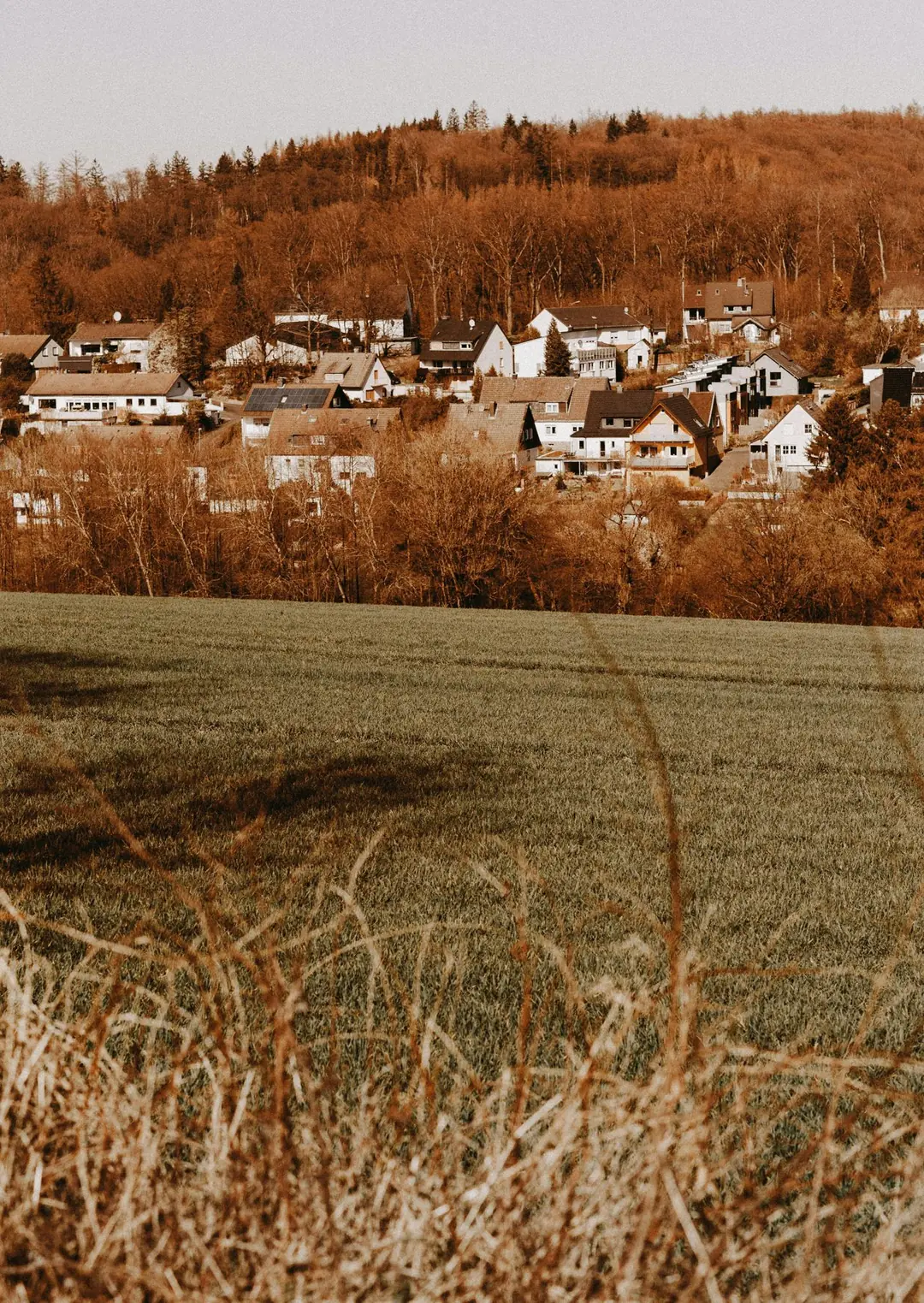 Hagen
