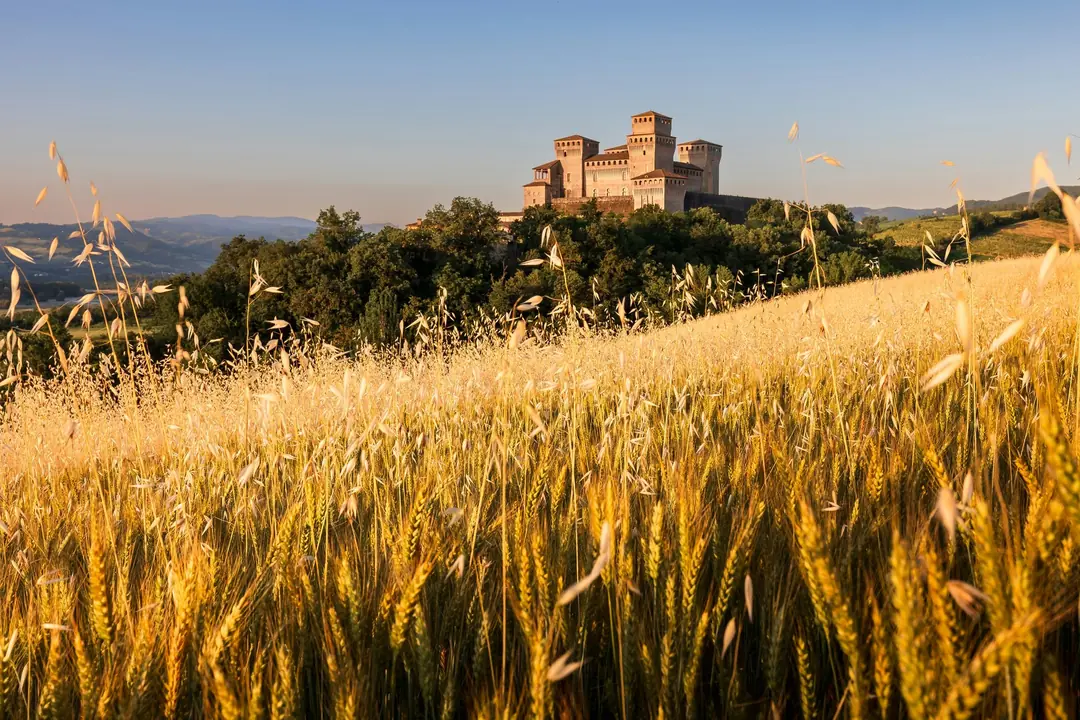 Parma