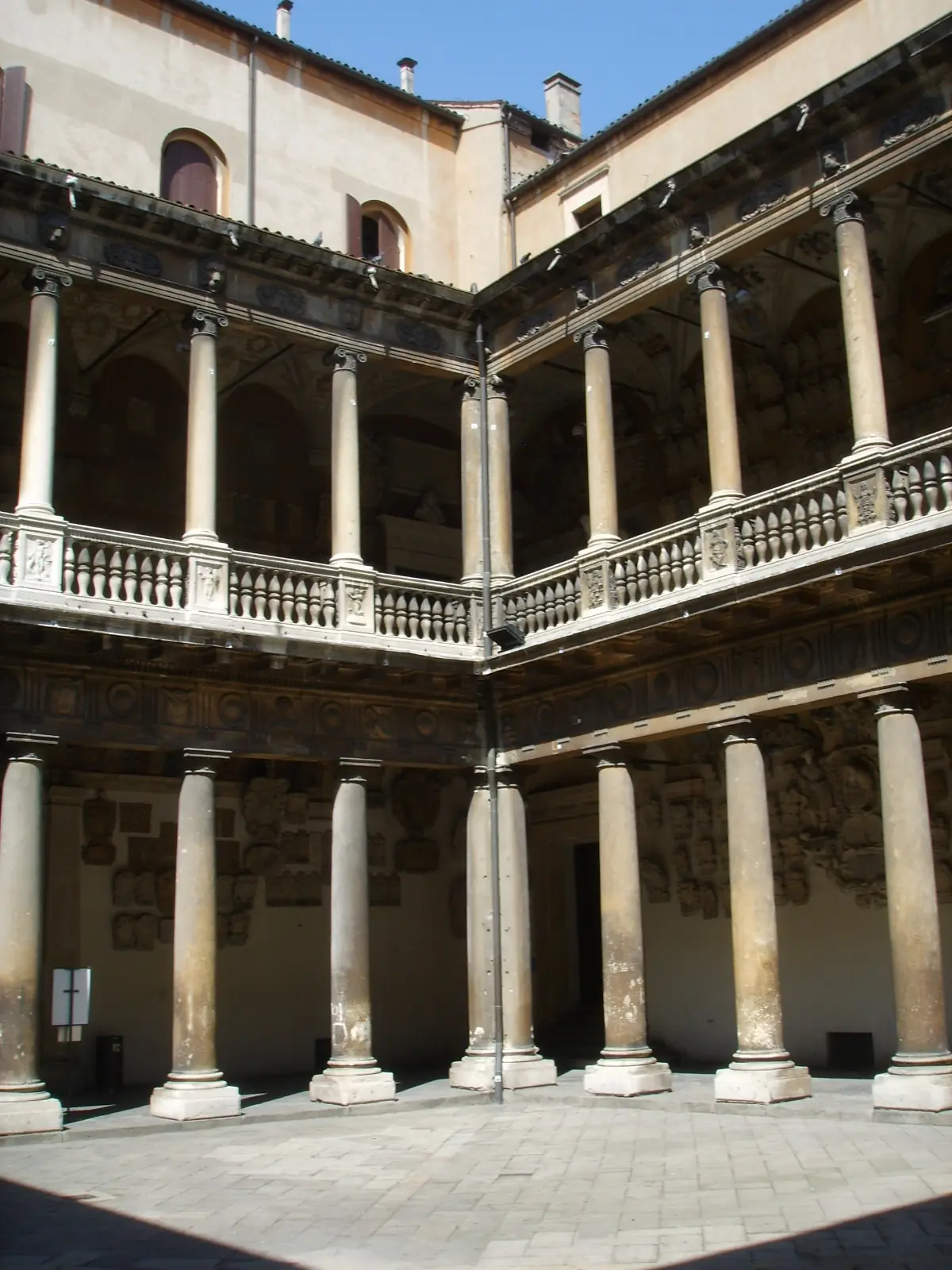 Das Skalpell und der Samen: Paduas medizinische Renaissance – Padua Audio-Tour