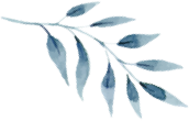 dlf.pt watercolor leaf png 2270838