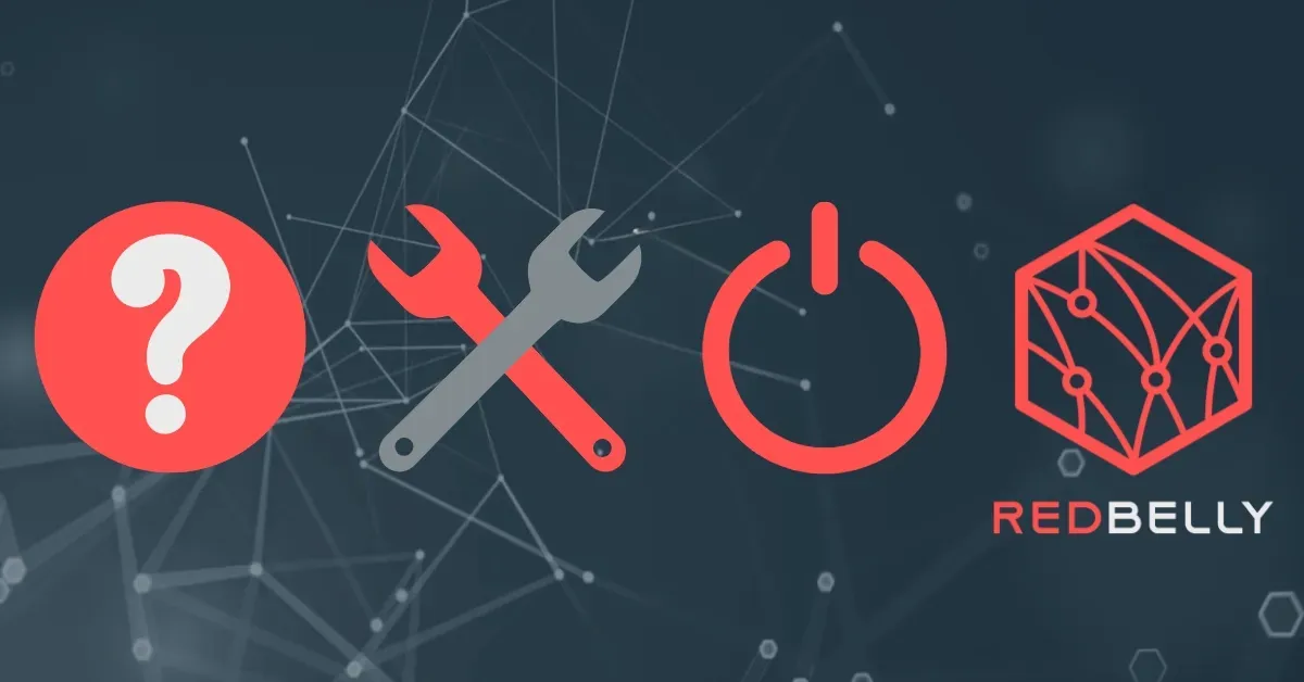 Why Build Blockchain Projects On Redbelly